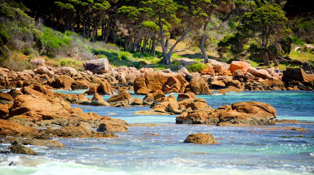 Bunker Bay showing rocky coastline and a bay or harbour