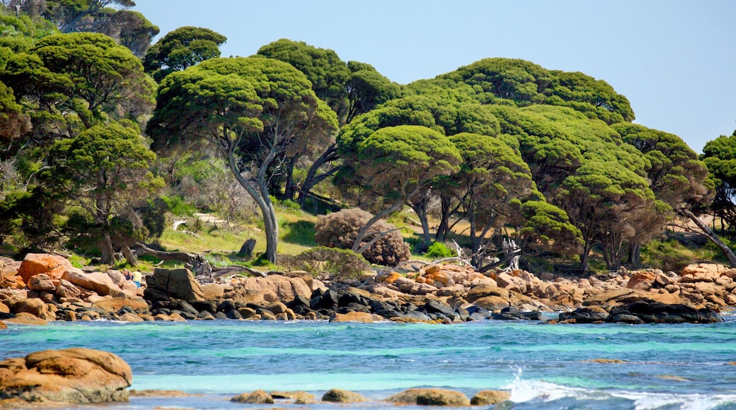 Bunker Bay featuring a bay or harbour and rocky coastline