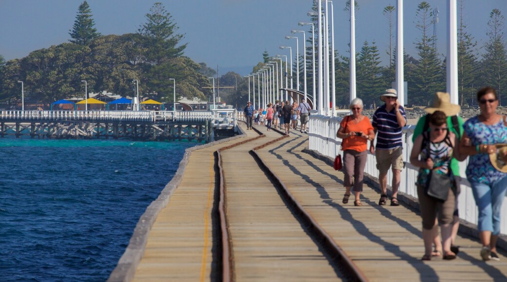 Busselton Jetty showing general coastal views as well as a small group of people