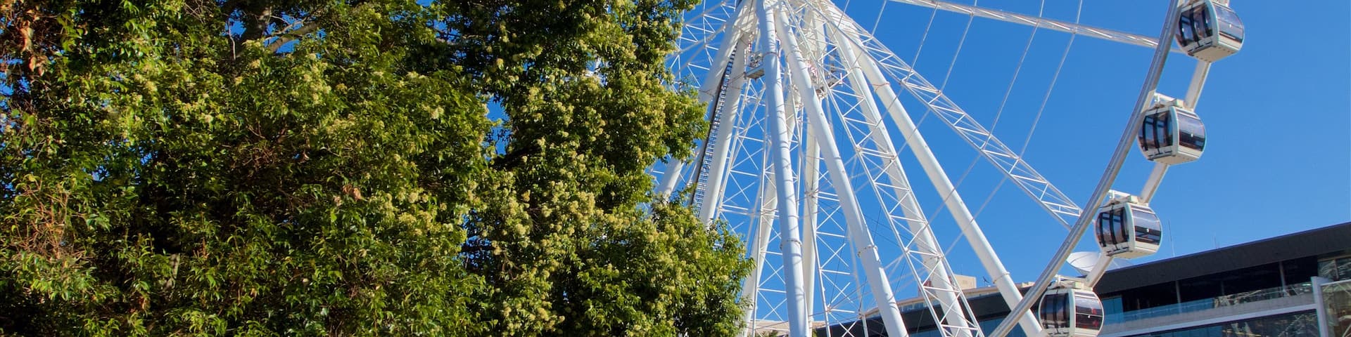 Wheel of Brisbane featuring a city and modern architecture