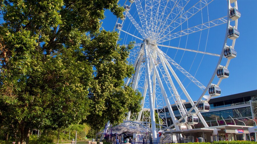 Bánh xe Brisbane cho thấy kiến trúc hiện đại và thành phố