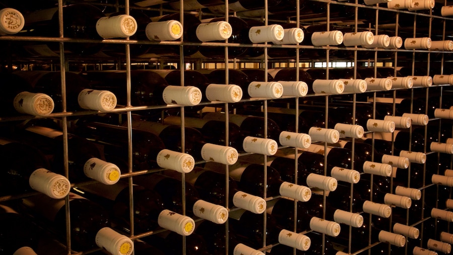 Vasse Felix Winery som viser interiør og drinks eller drikkevarer