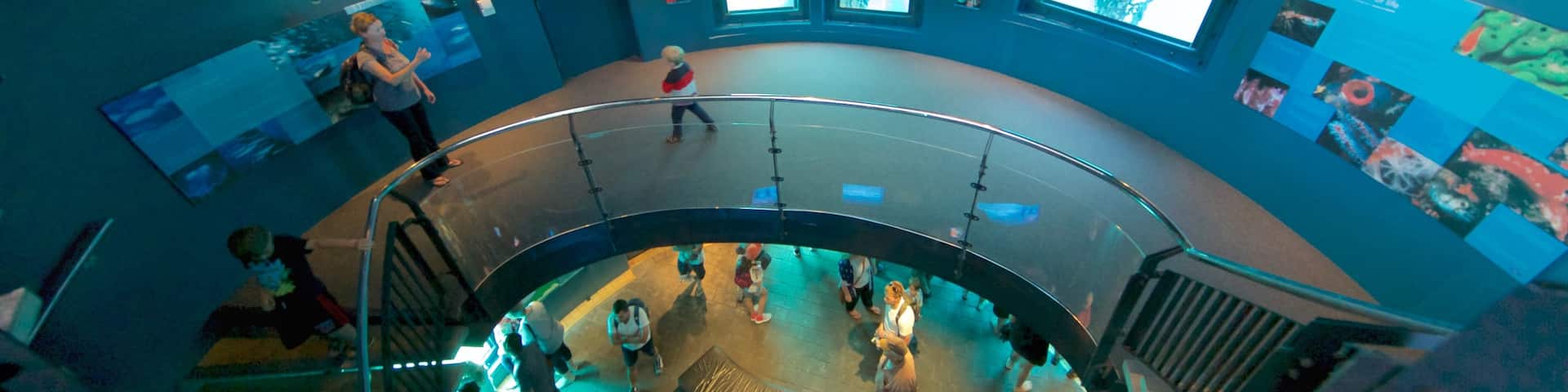 Busselton Jetty Underwater Observatory which includes interior views