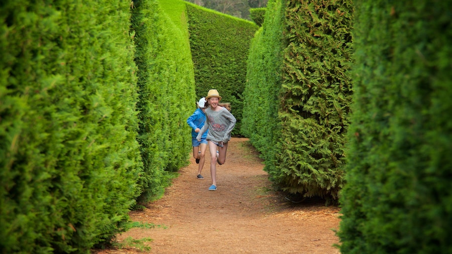 Amaze\'n Margaret River which includes a garden as well as children