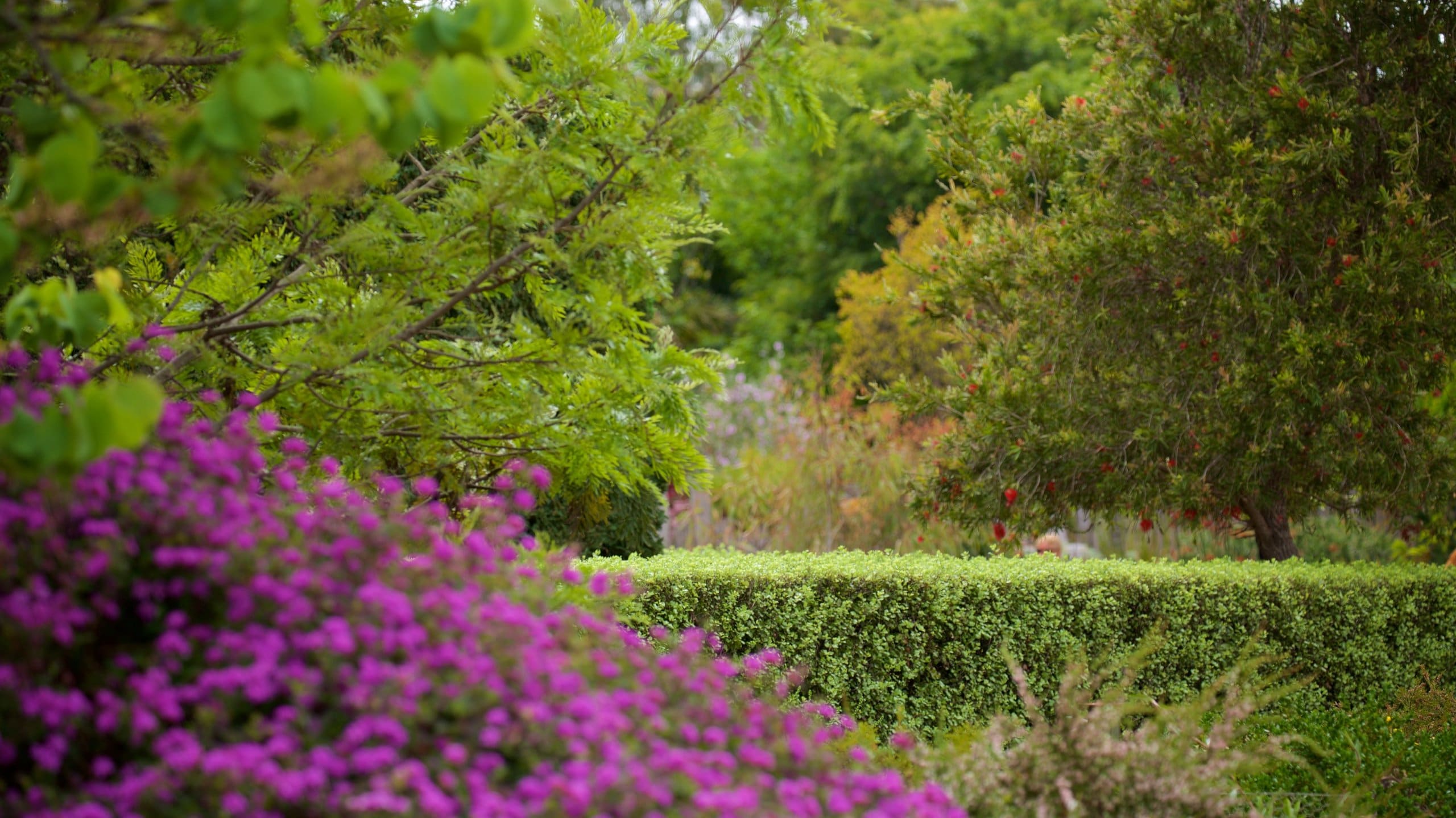 A Maze'n Margaret River Tours Book Now Expedia