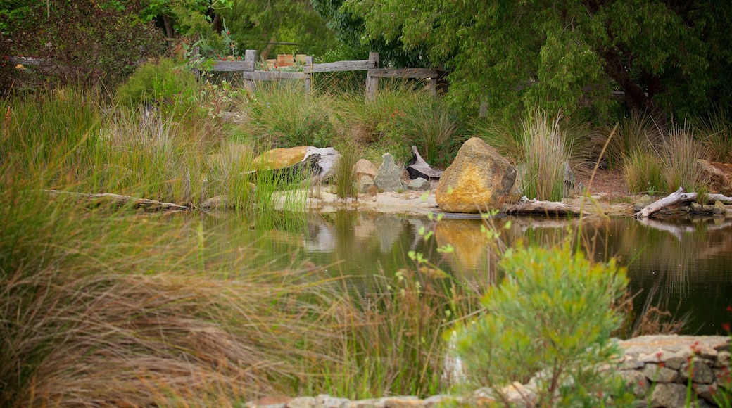 Amaze\'n Margaret River which includes a garden and a river or creek