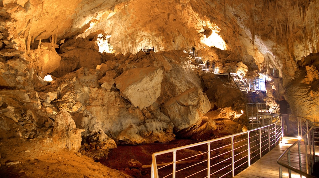 Grotte Mammoth qui includes grottes