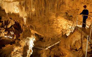 マンモス ケーブ ボラナップ エクスペディア マンモス ケーブ ボラナップ エクスペディア