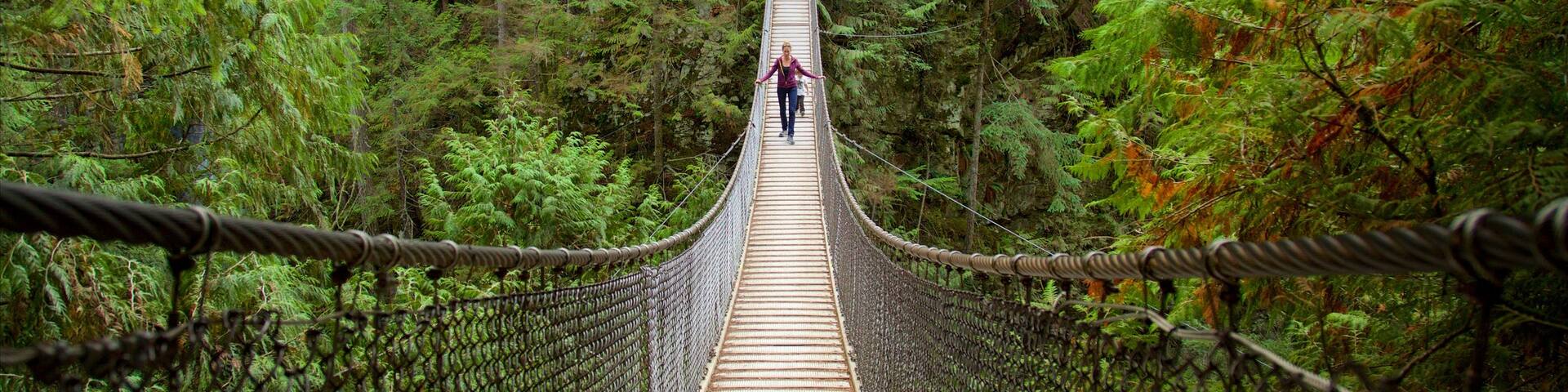 Lynn Canyon Park which includes forest scenes and a bridge