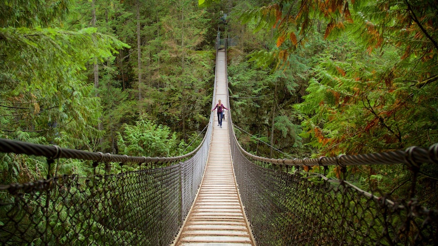 Lynn Canyon Park som viser skovområder og en bro
