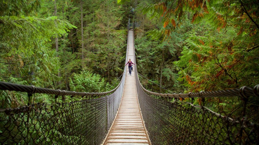 Suspension bridge surrounded by lush forest at Lynn Canyon Park in Vancouver.