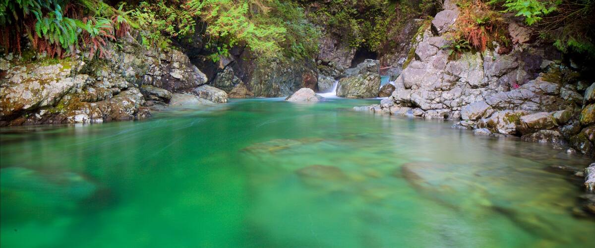 Lynn Canyon Park which includes a river or creek