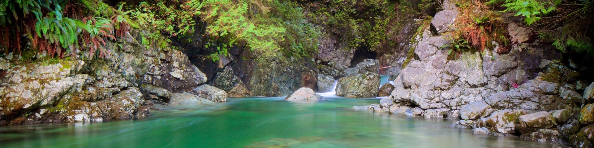 Lynn Canyon Park which includes a river or creek