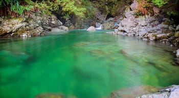 Lynn Canyon Park which includes a river or creek