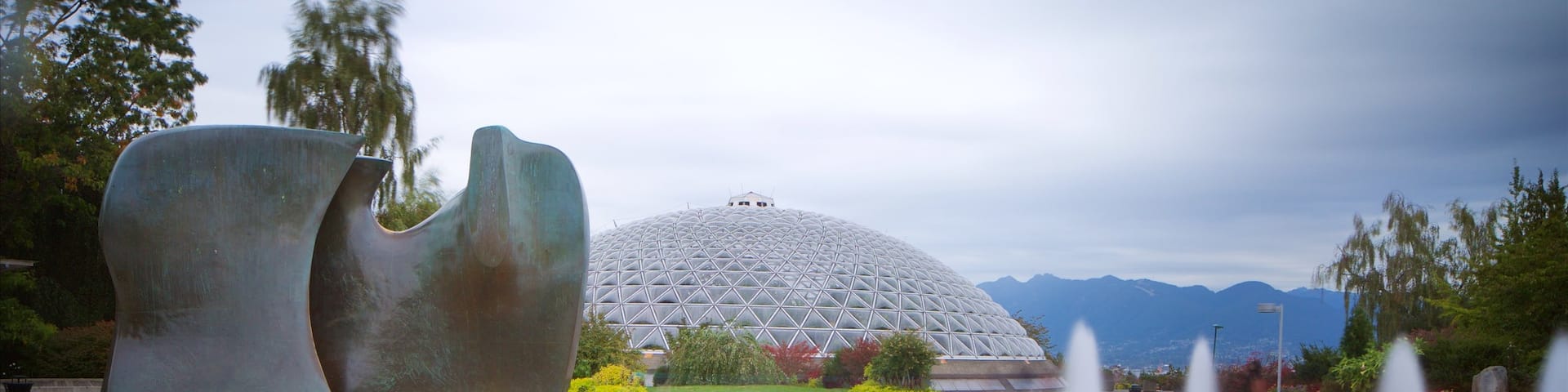Queen Elizabeth Park featuring a statue or sculpture and a fountain