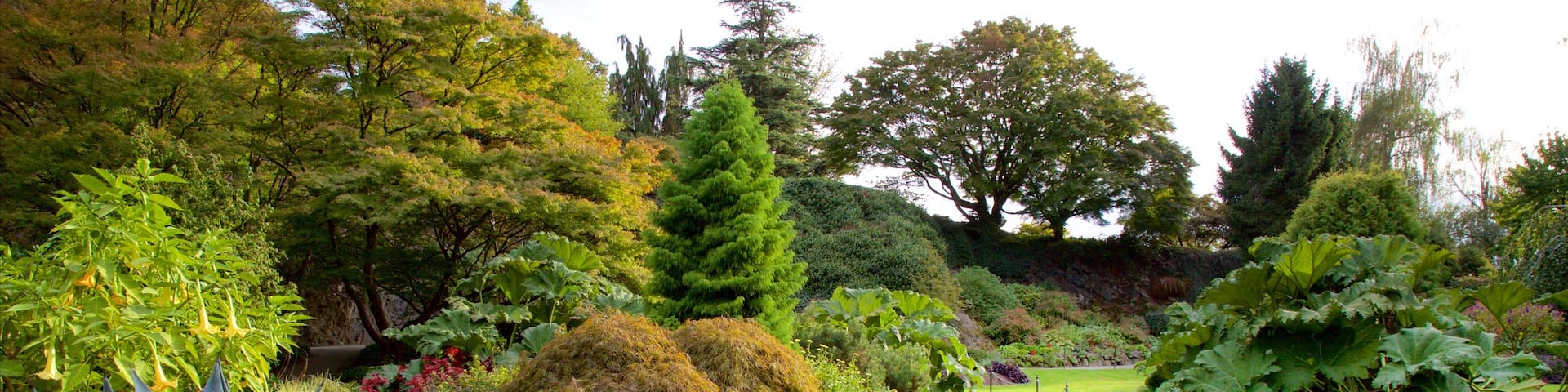 Queen Elizabeth Park mettant en vedette pont et jardin