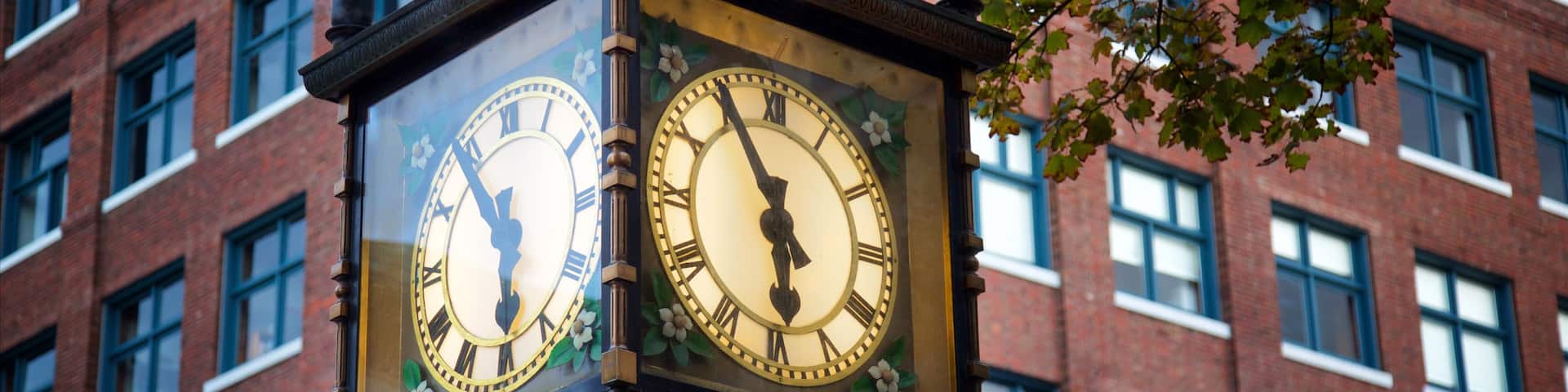 Gastown showing heritage elements and a city