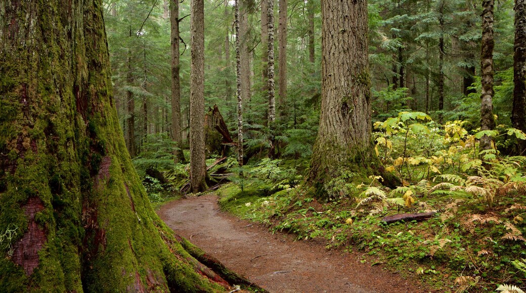 Garibaldi Provincial Park