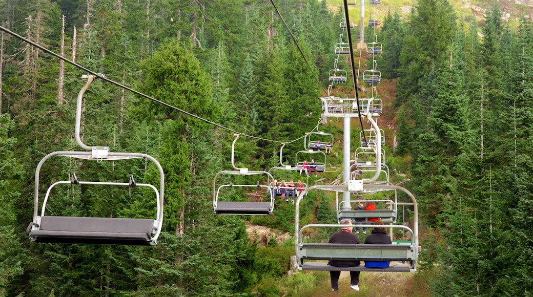 District of North Vancouver showing a gondola and forest scenes as well as a couple