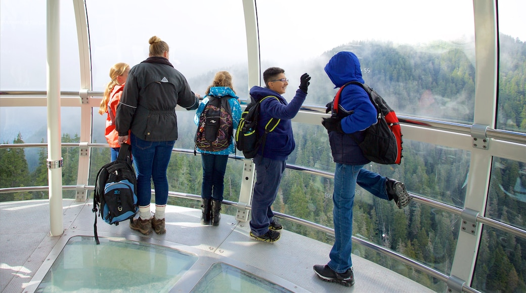 Grouse Mountain mit einem Berge, Ansichten und Waldmotive