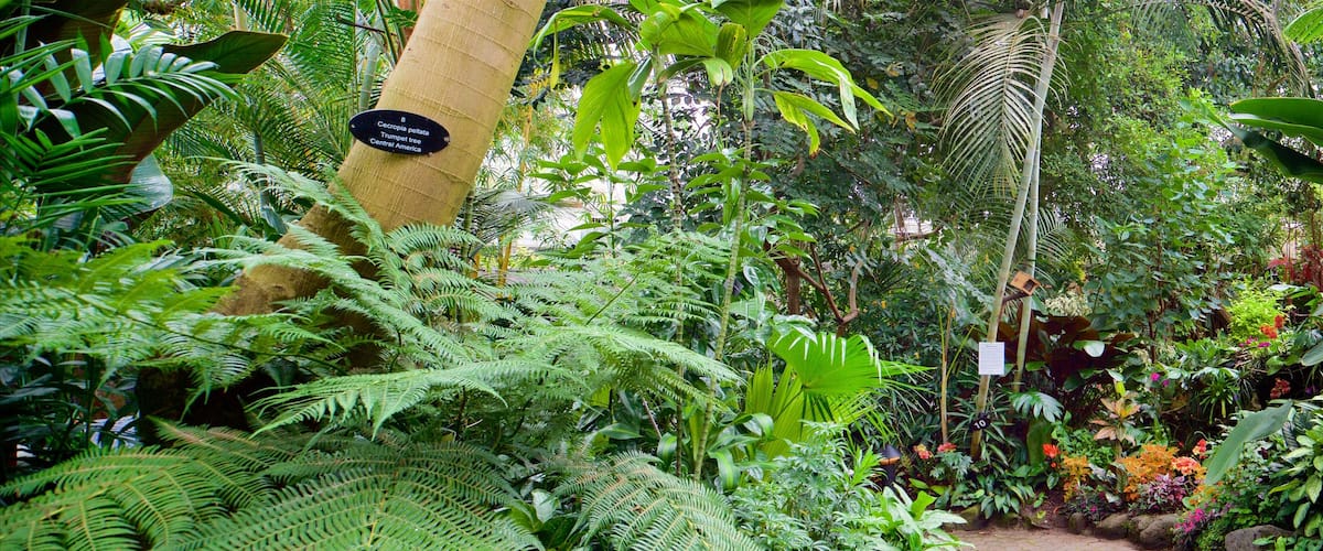 Queen Elizabeth Park which includes a park