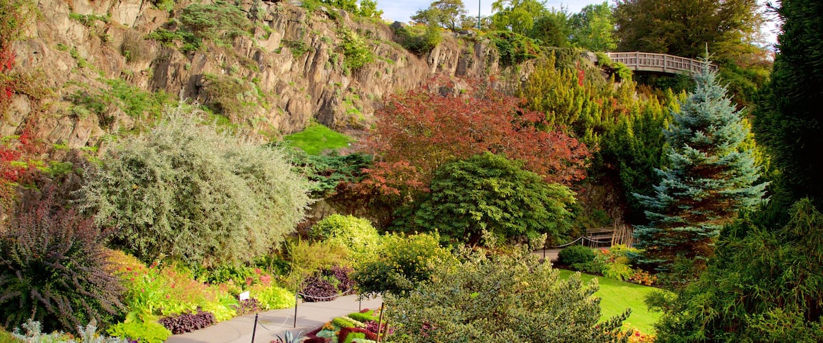 Queen Elizabeth Park which includes a park