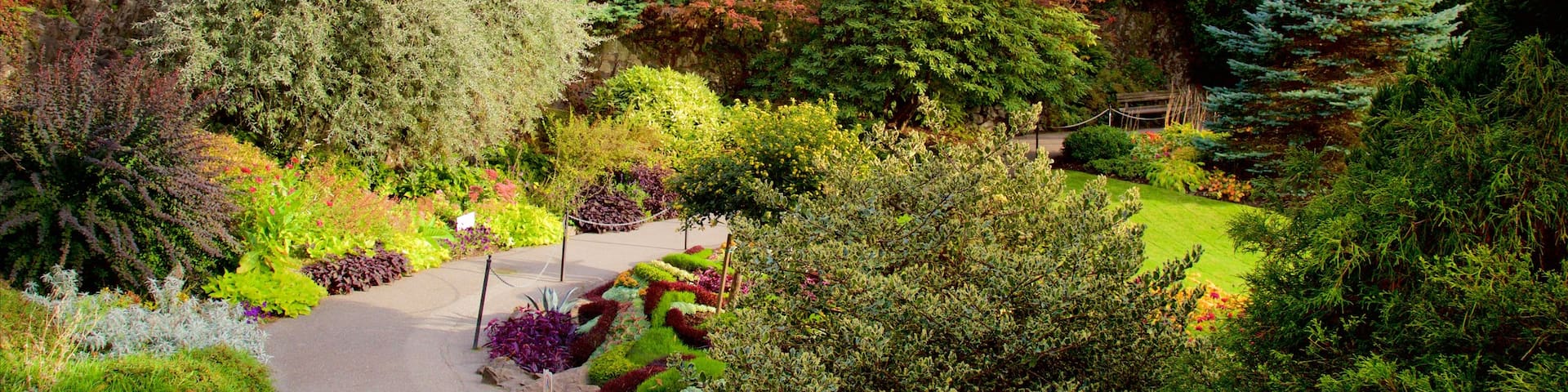 Queen Elizabeth Park welches beinhaltet Park