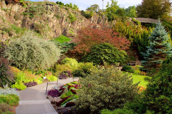 Queen Elizabeth Park welches beinhaltet Park