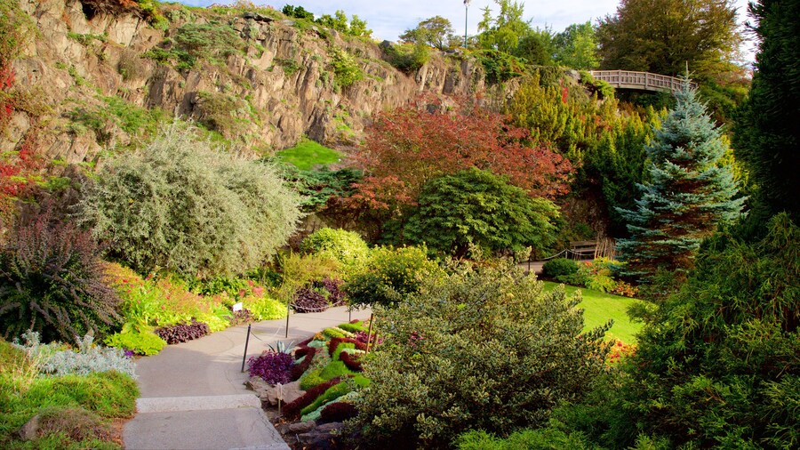 Colorful gardens and scenic pathways at Queen Elizabeth Park in Vancouver.