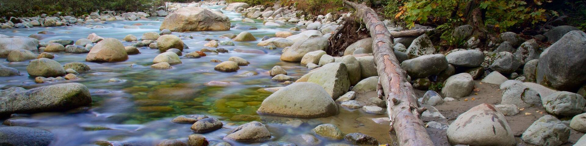 Lynn Canyon Park which includes forests and a river or creek