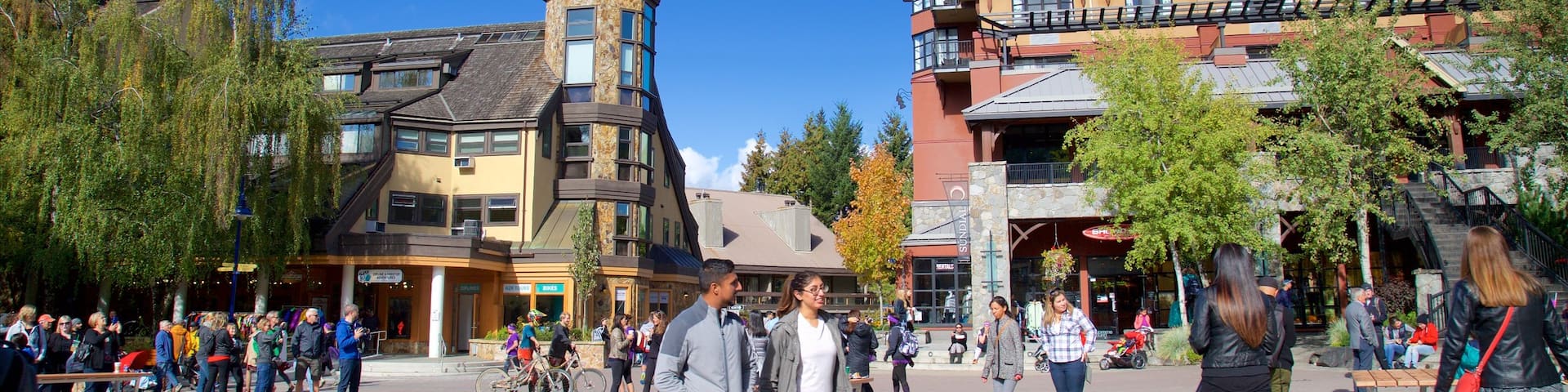 Whistler Blackcomb Ski Resort which includes a luxury hotel or resort and a square or plaza as well as a large group of people