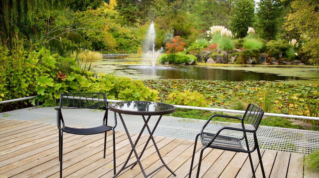 VanDusen Botanical Garden mostrando um jardim, uma fonte e um lago ou charco