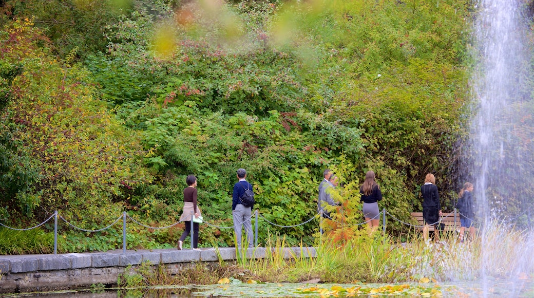 Jardin botanique VanDusen mettant en vedette fontaine, lac ou étang et jardin