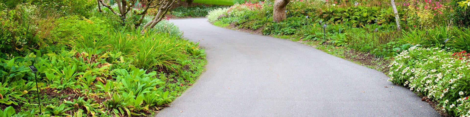 Jardin botanique VanDusen mettant en vedette parc