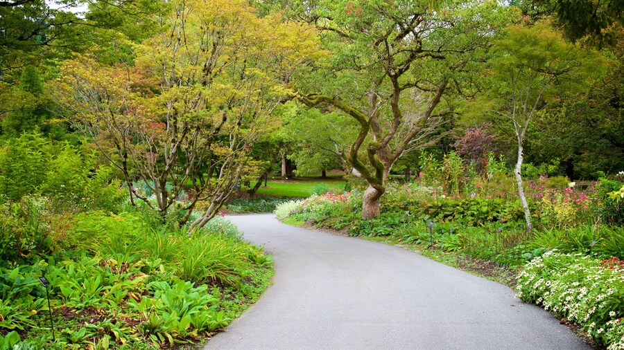 Scenic pathway surrounded by vibrant gardens at VanDusen Botanical Garden in Vancouver.