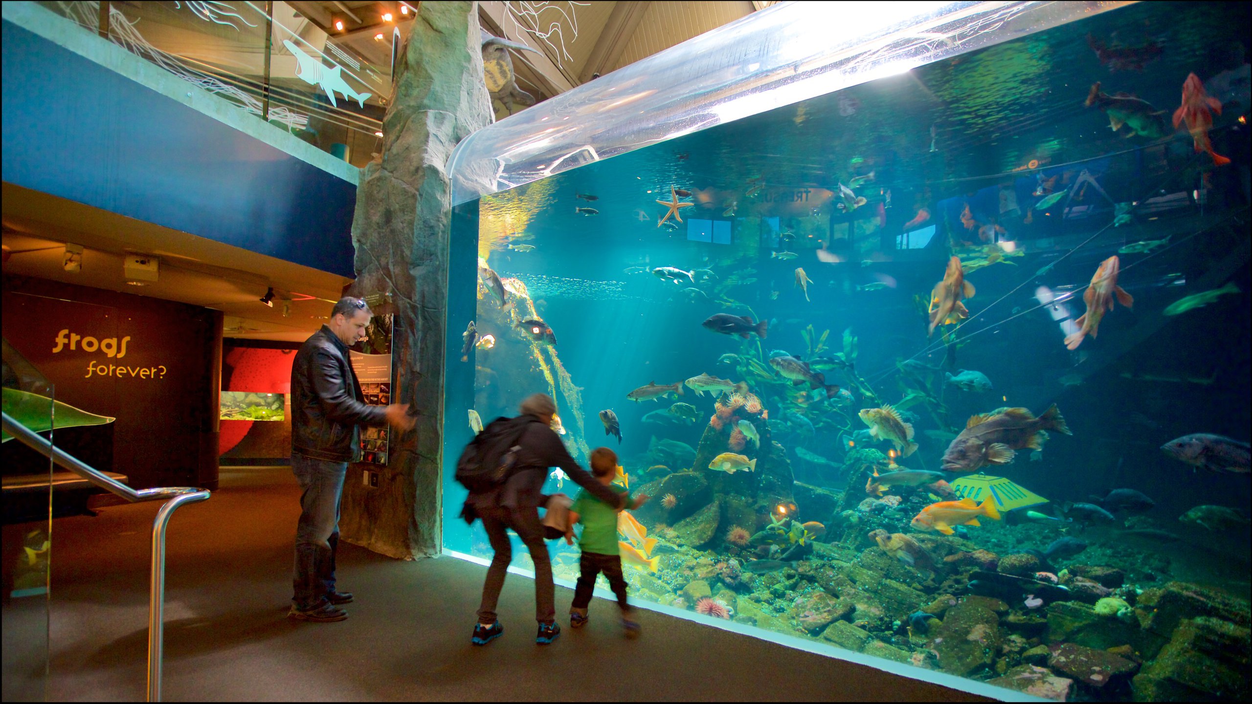 vancouver-aquarium-vancouver-vacation-rentals-house-rentals-more-vrbo