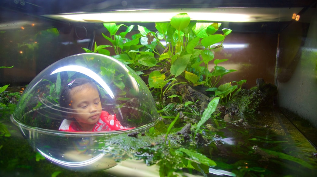 Vancouver Aquarium caracterizando um lago, animais e vida marinha