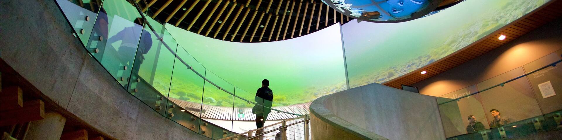 Vancouver Aquarium featuring interior views and marine life