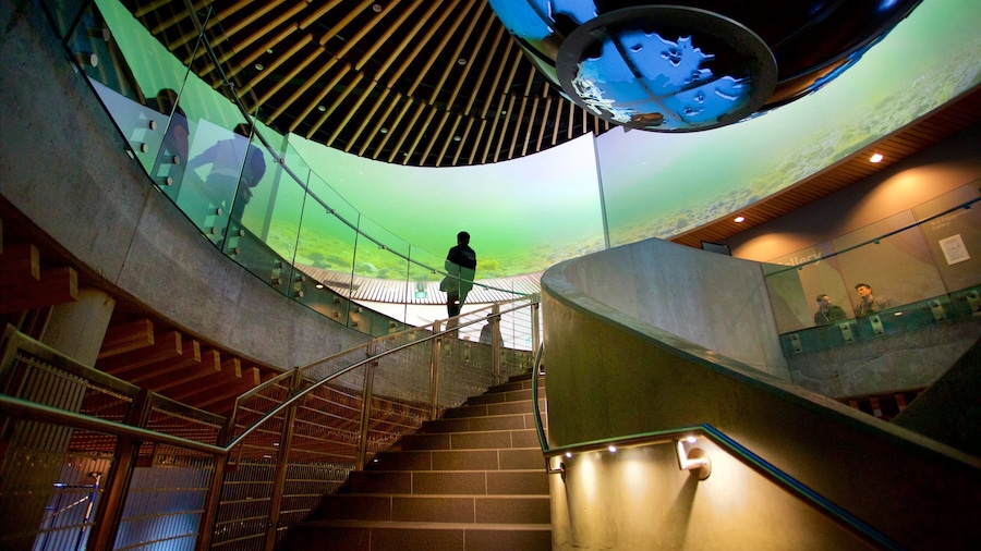 Vancouver Aquarium featuring marine life and interior views