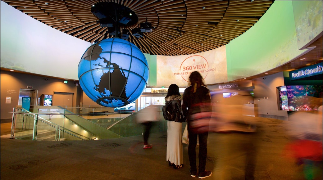 Vancouver Aquarium som inkluderar interiörer och havsdjur