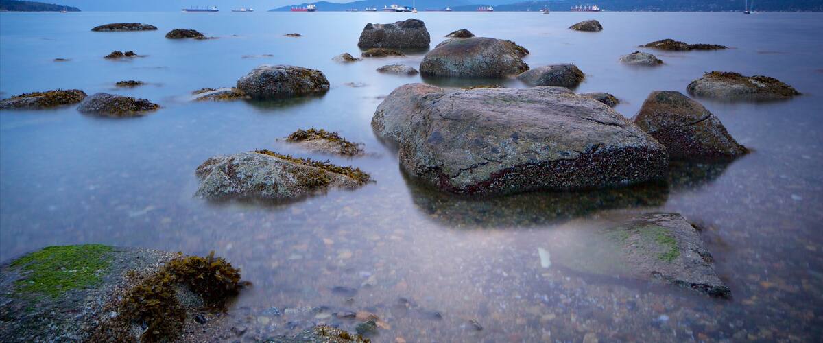 Kitsilano Beach featuring general coastal views and a bay or harbour