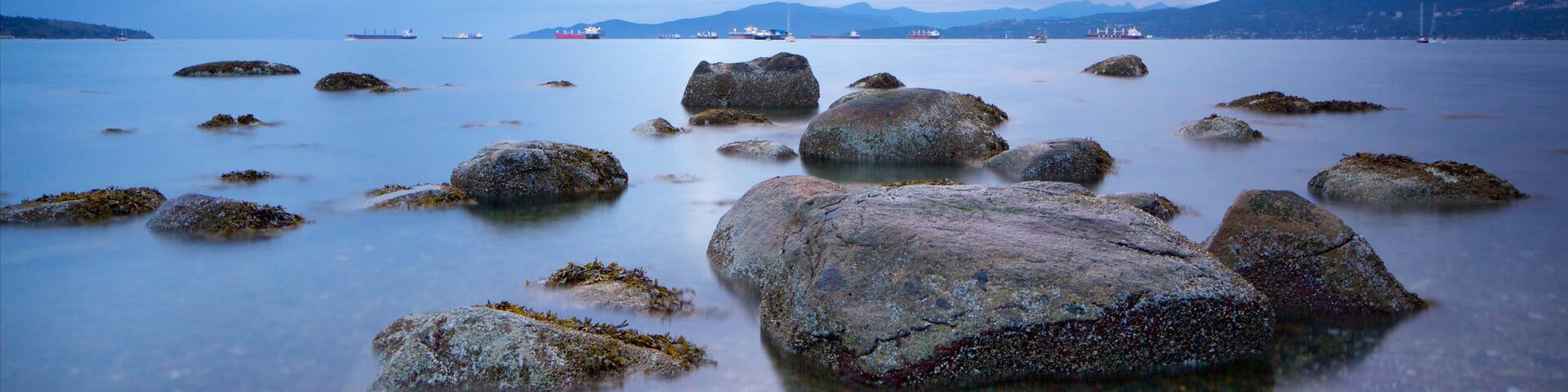 Kitsilano Beach showing a bay or harbour and general coastal views