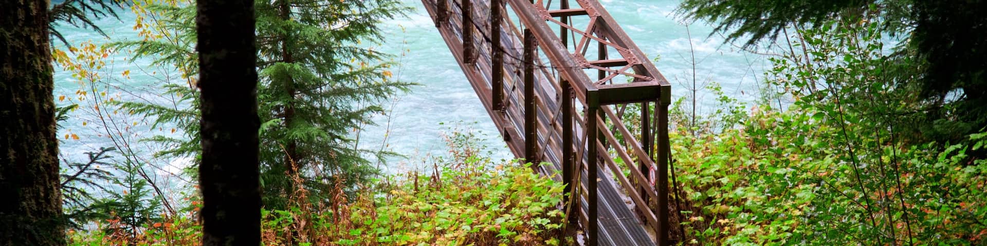 Garibaldi Provincial Park featuring a river or creek, forest scenes and a bridge