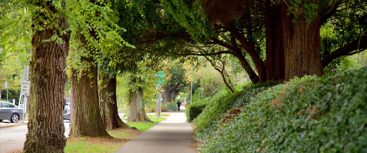 Vancouver featuring a garden and street scenes
