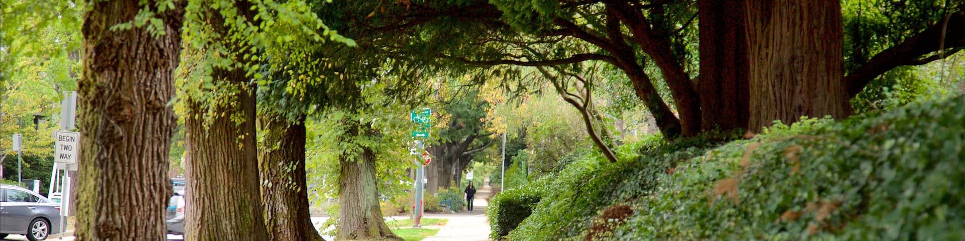 Vancouver welches beinhaltet Straßenszenen und Garten