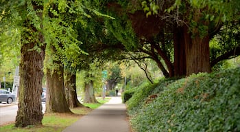 Vancouver toont een tuin en straten