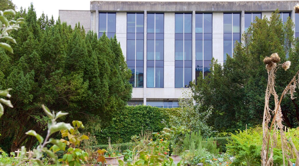 Vancouver mostrando edificio amministrativo e giardino