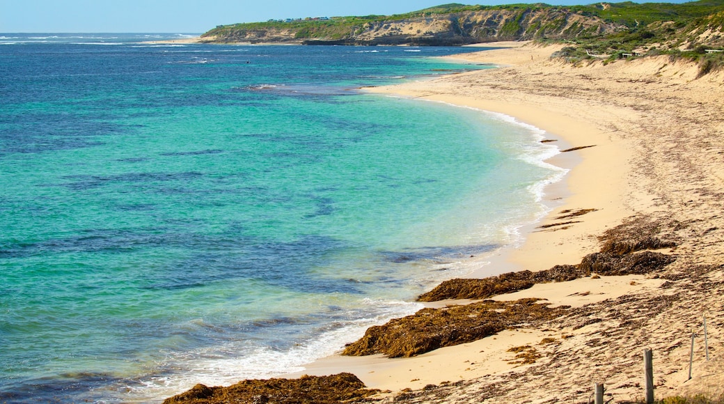 Prevelly Beach featuring a sandy beach, a bay or harbour and general coastal views