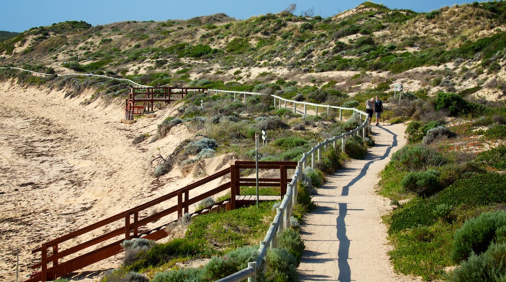 Prevelly Beach showing general coastal views and a sandy beach