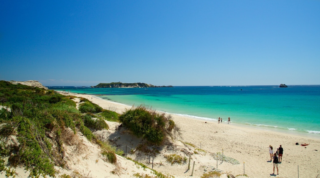 Karridale toont een baai of haven, algemene kustgezichten en een zandstrand